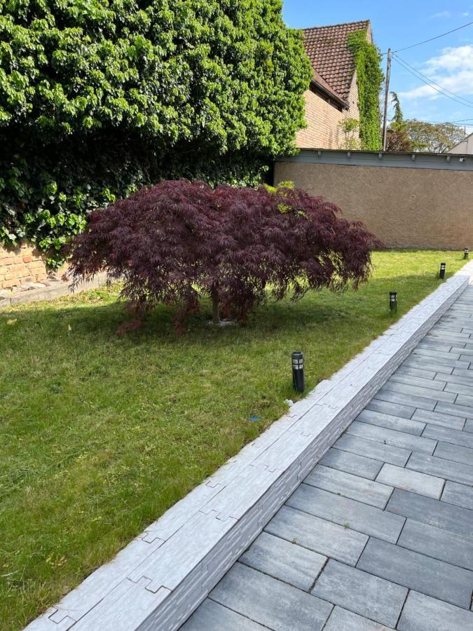 Logement De Charme - W&B House Dorlisheim Exteriör bild